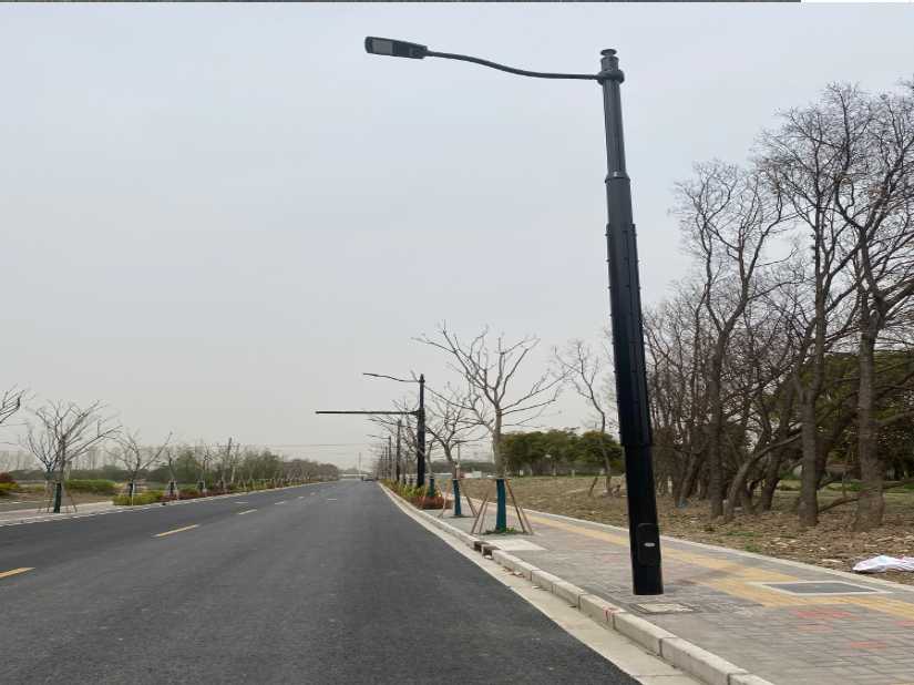 那曲市上海综合杆 太阳能路灯工程